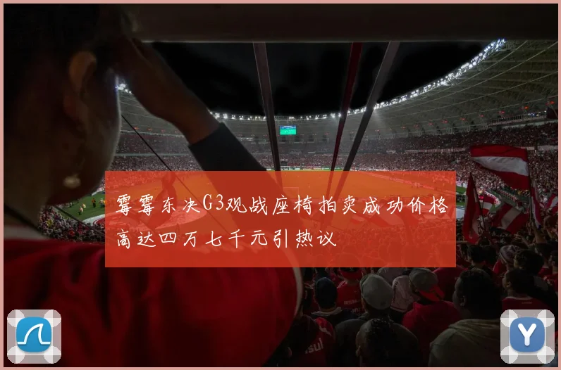 霉霉东决G3观战座椅拍卖成功价格高达四万七千元引热议